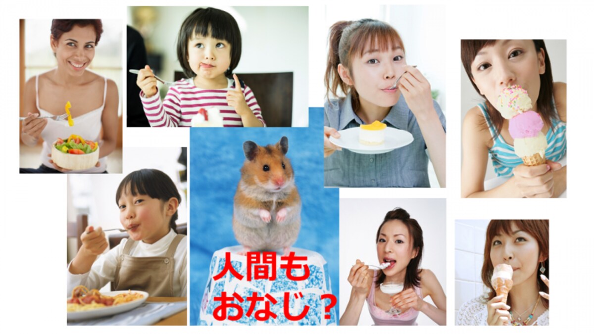 Tste_effect2