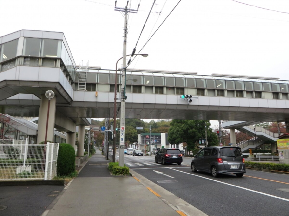 崖線の高さ