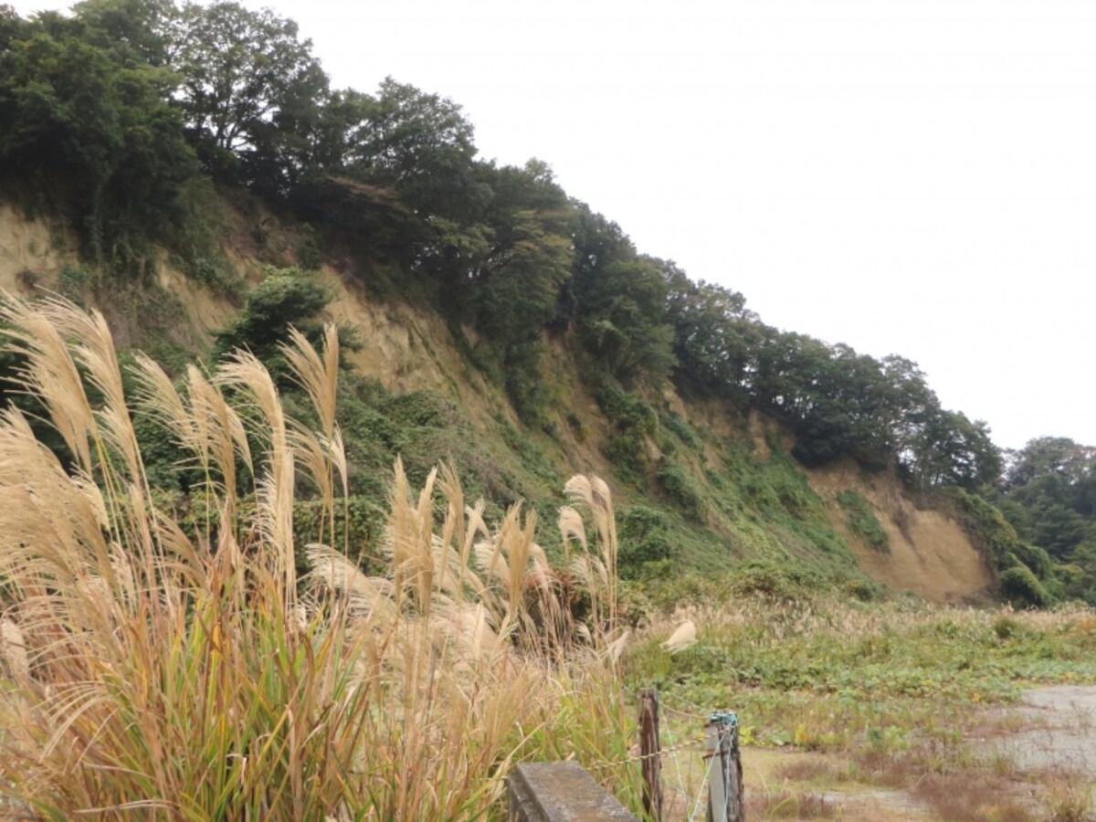 稲城の崖