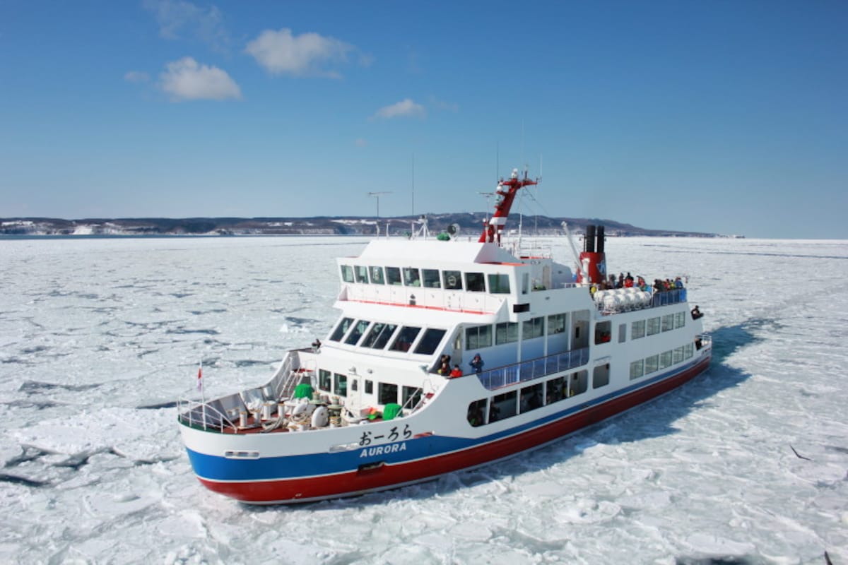 流氷,観察,流氷観察,オホーツク海,海,冬,雪,おーろら号,アザラシ,北海道