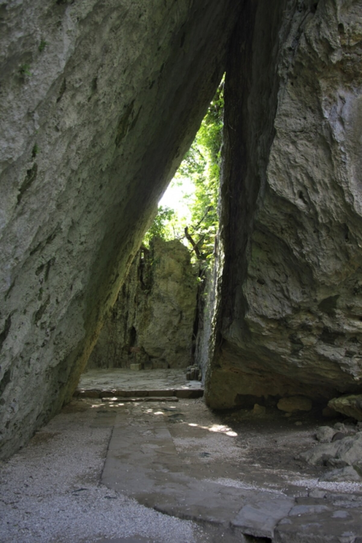 seifautaki1