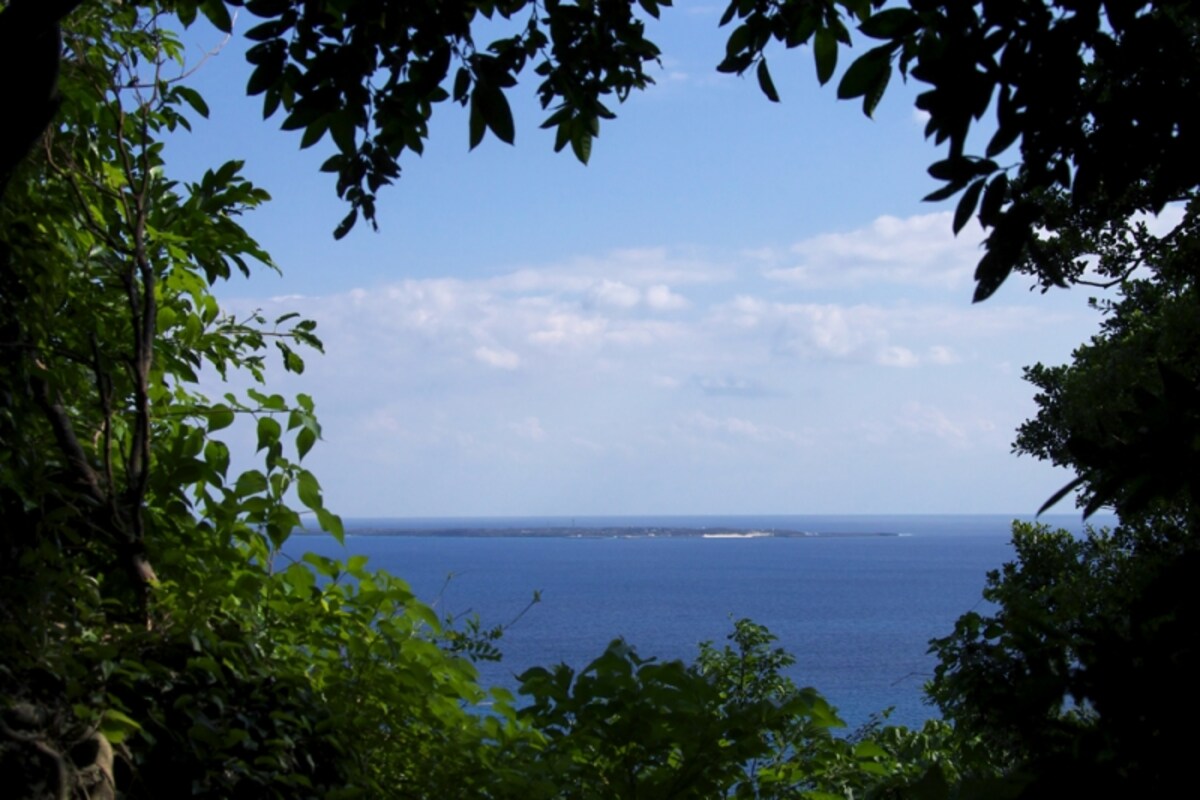 seifautaki2