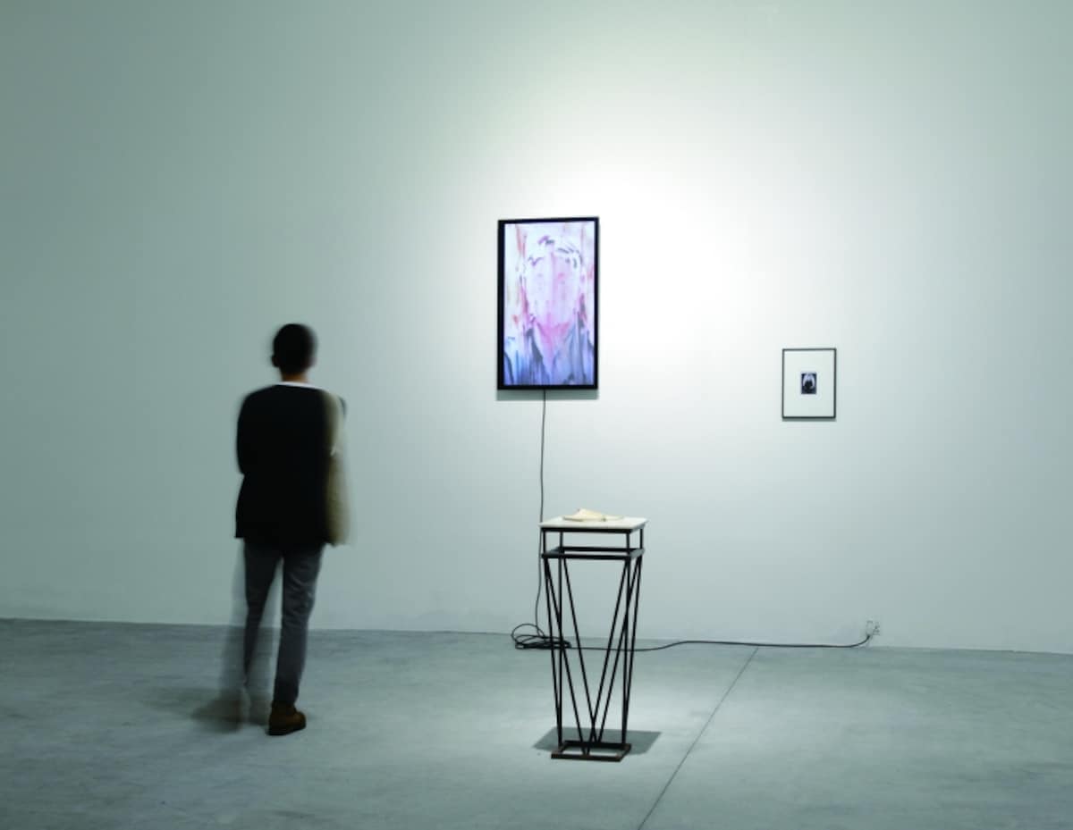 大崎のぶゆき 《Trace Trip, Portraits- woman of Sun Yatsen》 2014 の展?風景 撮影：川松康徳