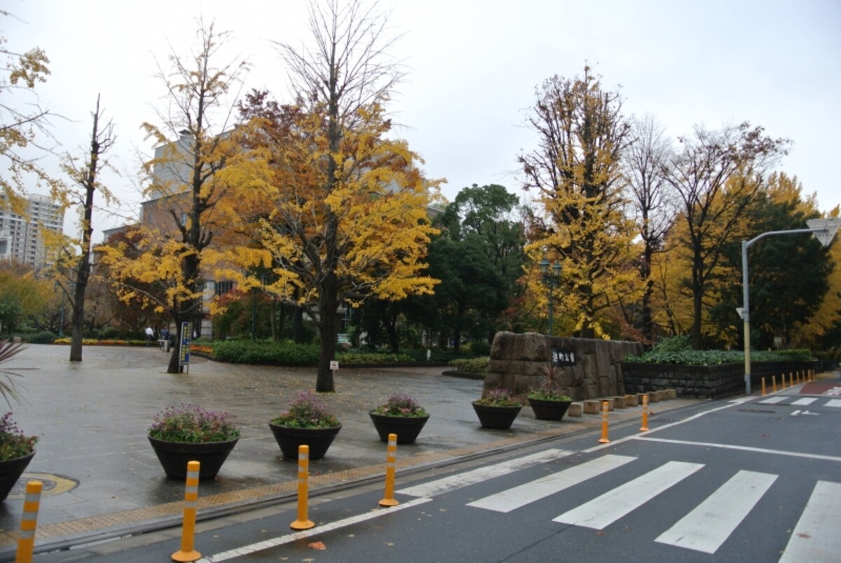 浜町公園