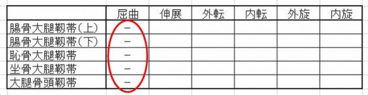 股関節の靱帯作用2