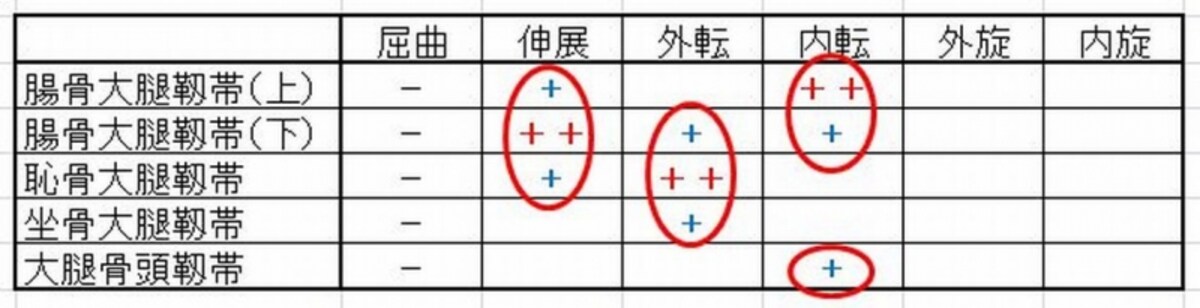 股関節の靱帯作用4