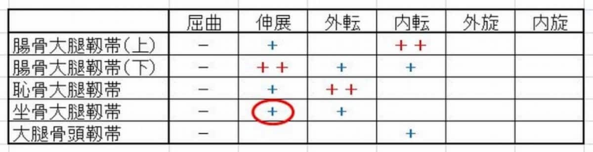 股関節の靱帯作用5