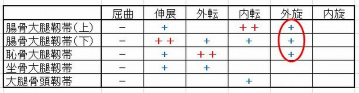 股関節の靱帯作用6