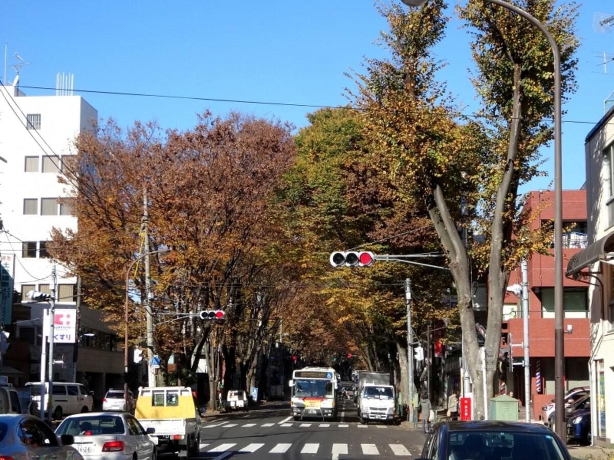 阿佐ヶ谷の南北を貫く中杉通り