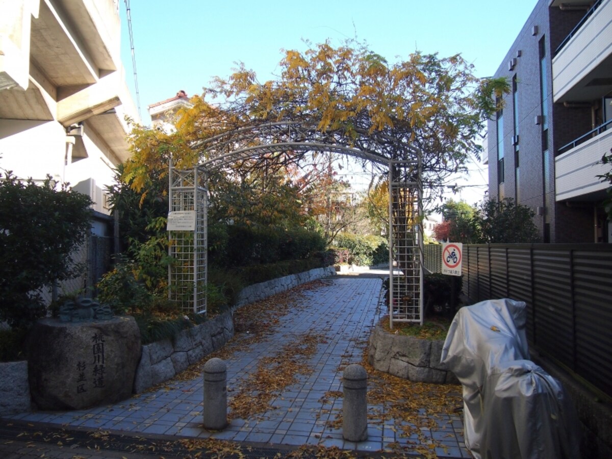 ここが杉並区側の緑道の始まり