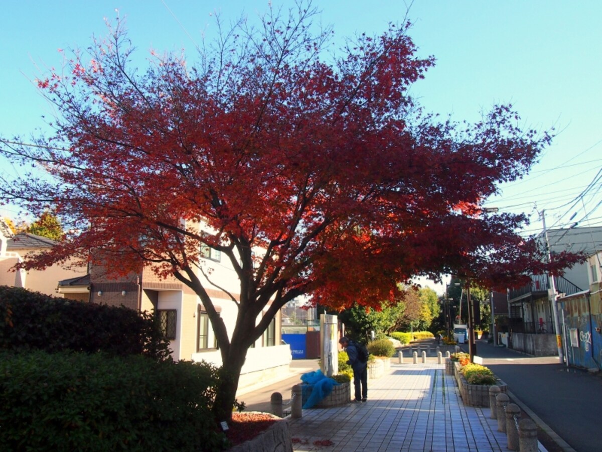 桃園川の説明板などもある。