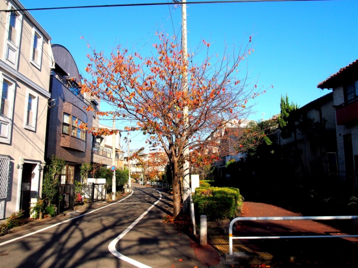 桜並木も続いている