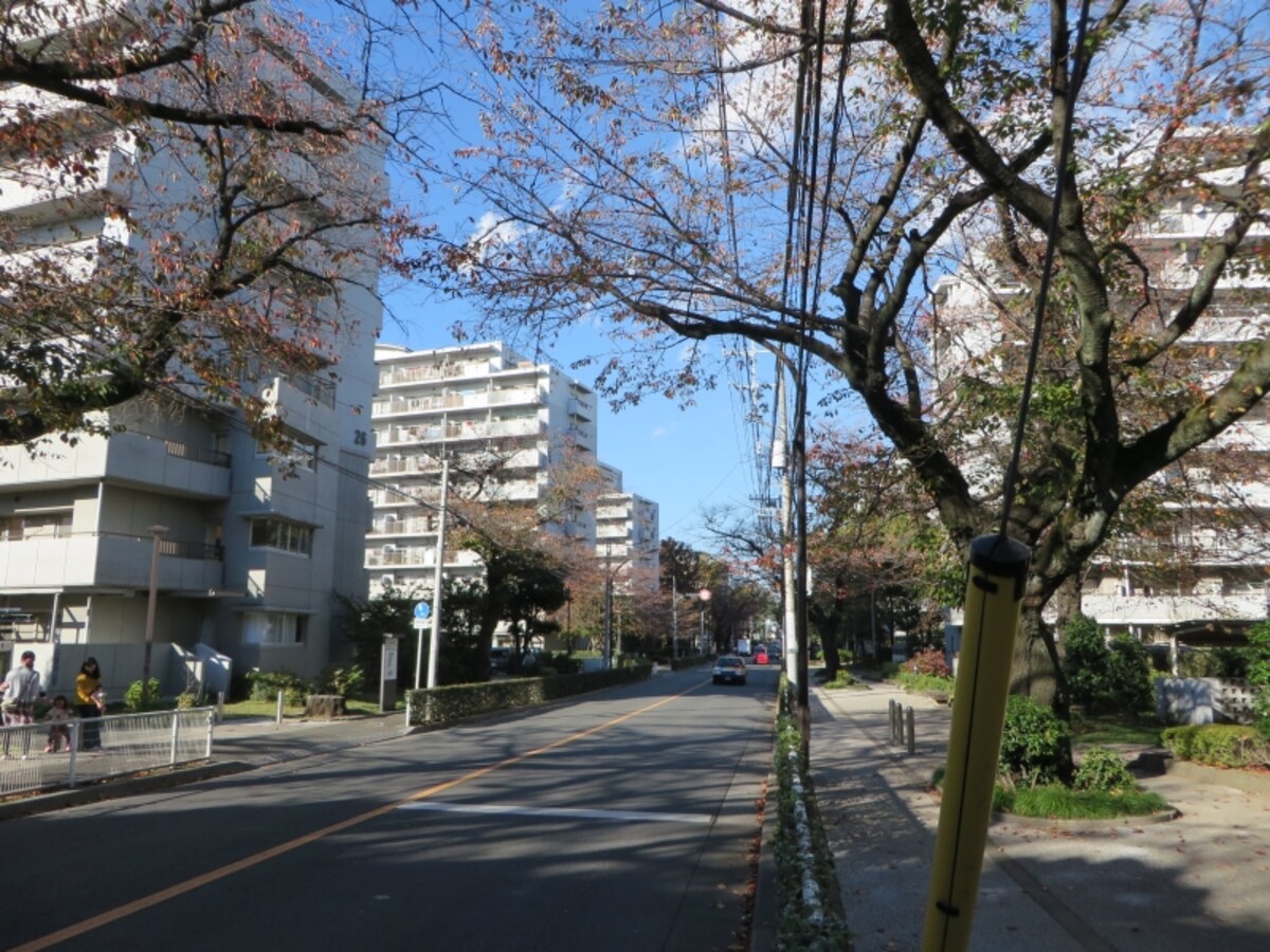 旧桜堤団地