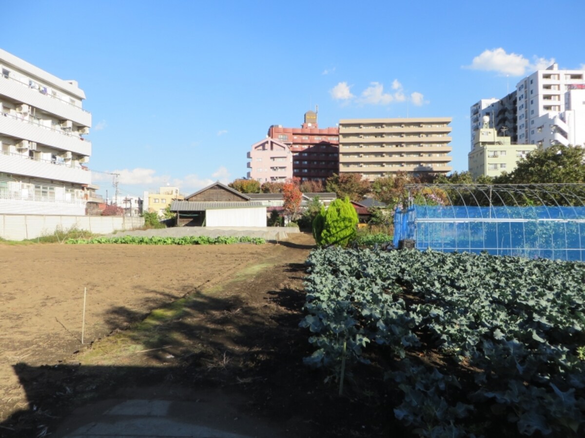 駅近くの農地