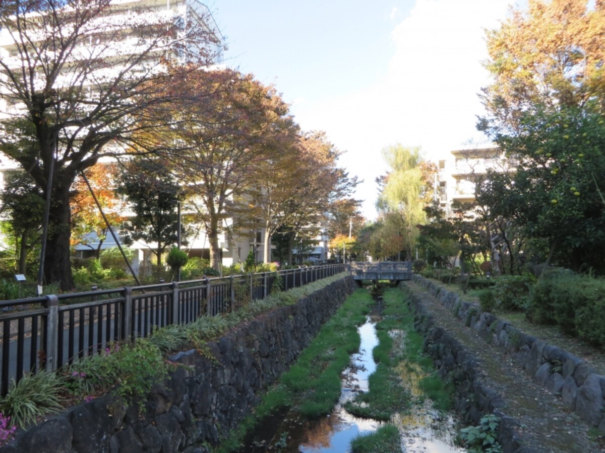 仙川