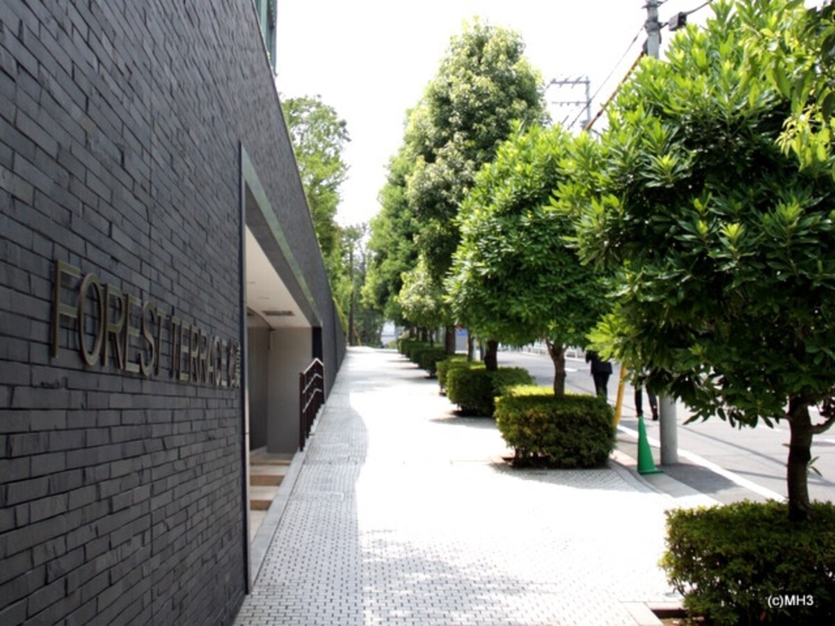 「フォレストテラス松濤」の建物入口