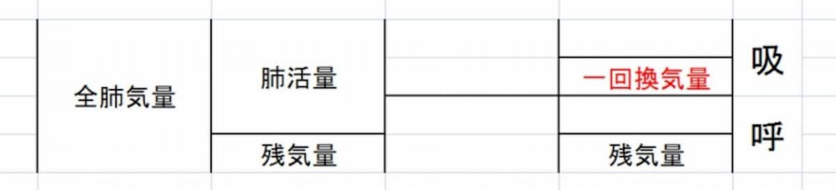 スパイログラムの勉強7