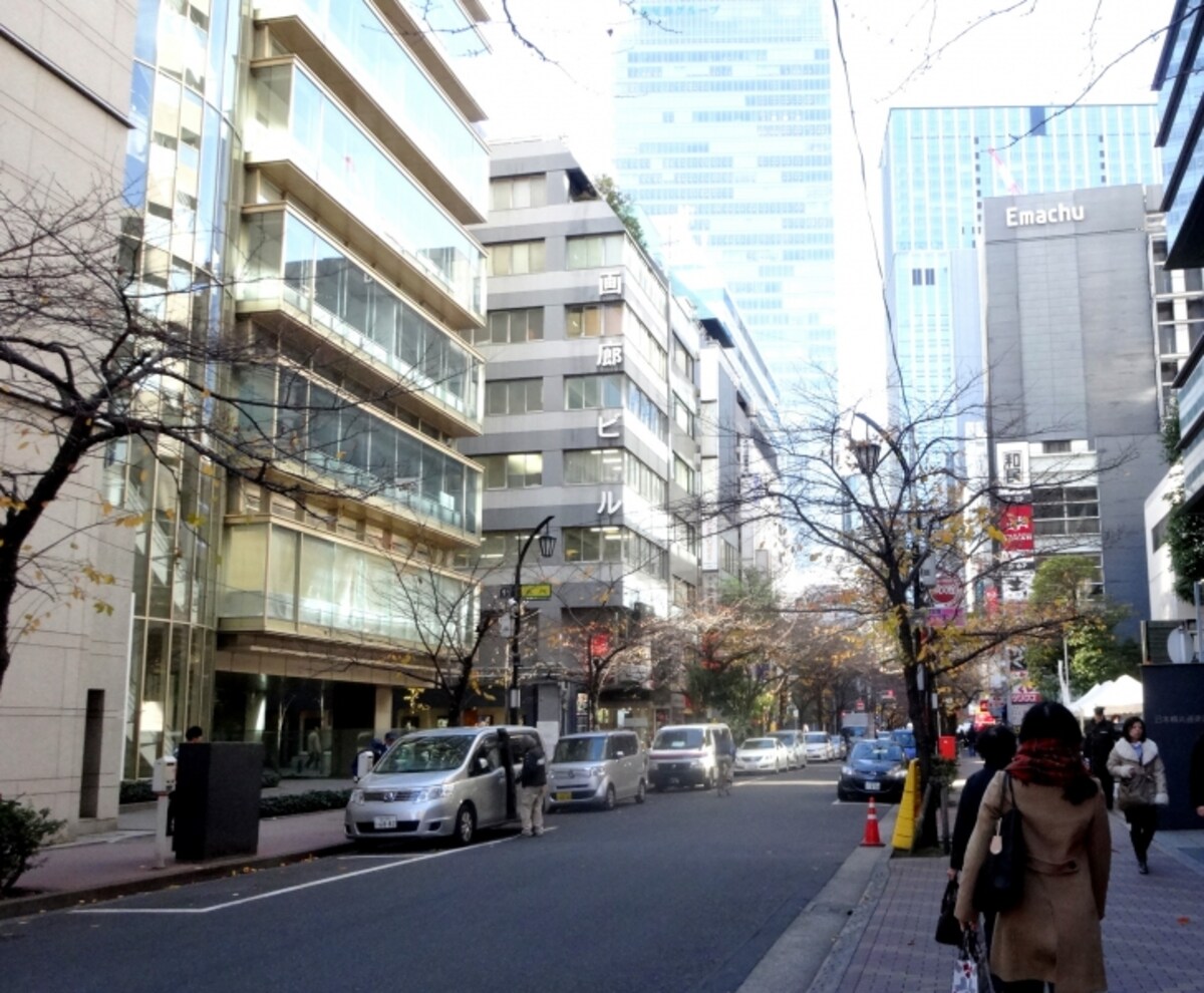 桜の葉も紅葉し終わり、ほとんど散っている
