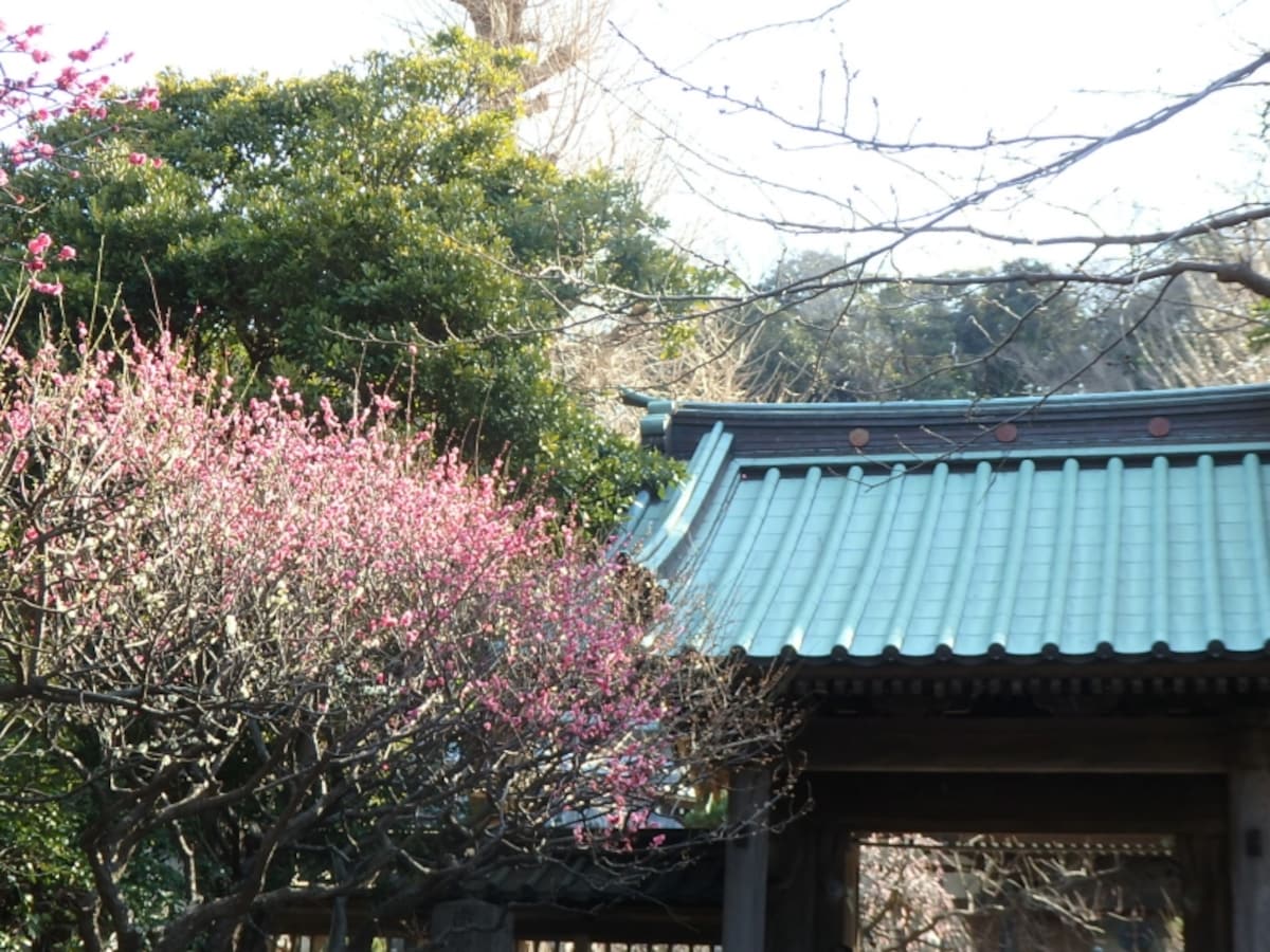 常立寺の山門