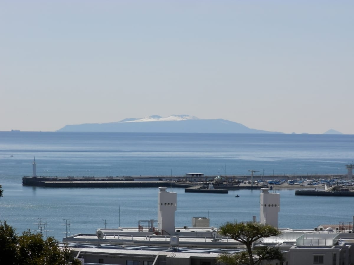 仏舎利塔より望む大島