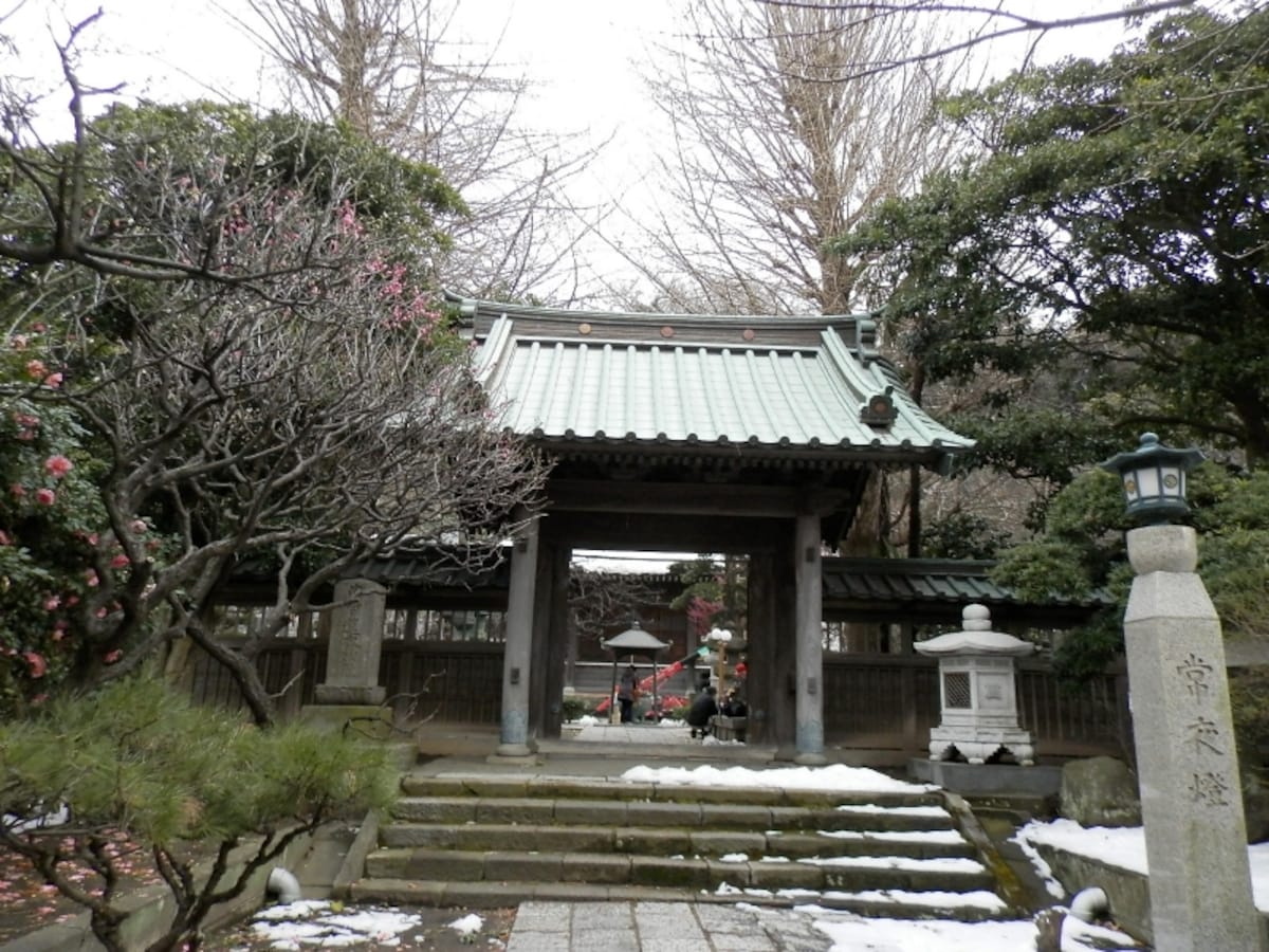 常立寺の参道を歩き山門をくぐって