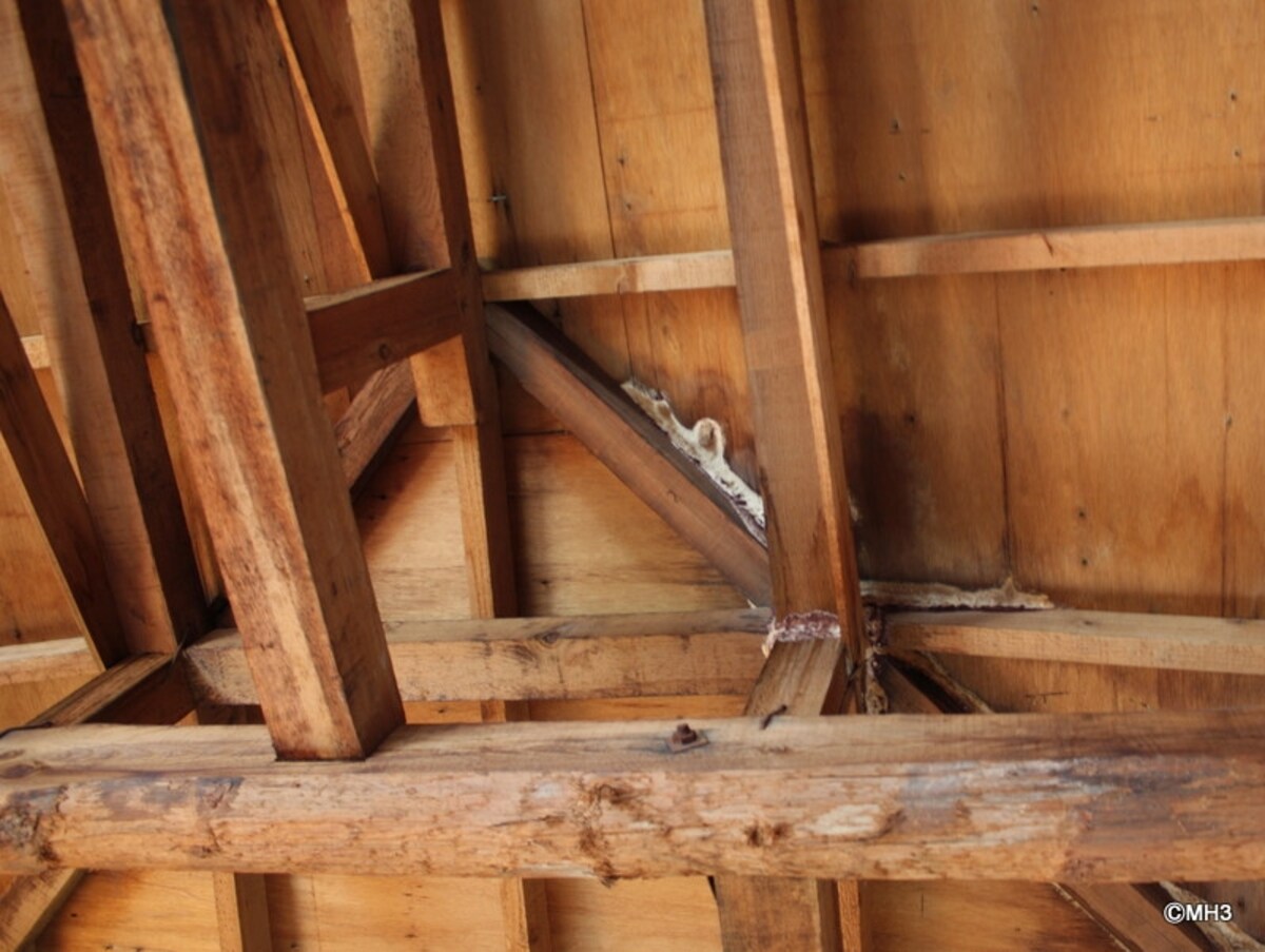 雨漏りでカビが広がる屋根裏