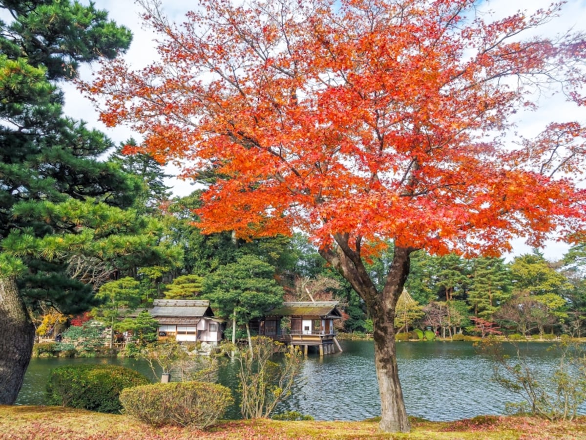 兼六園