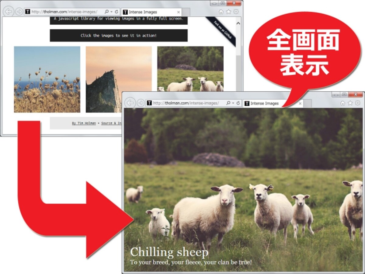 全画面で拡大画像を表示