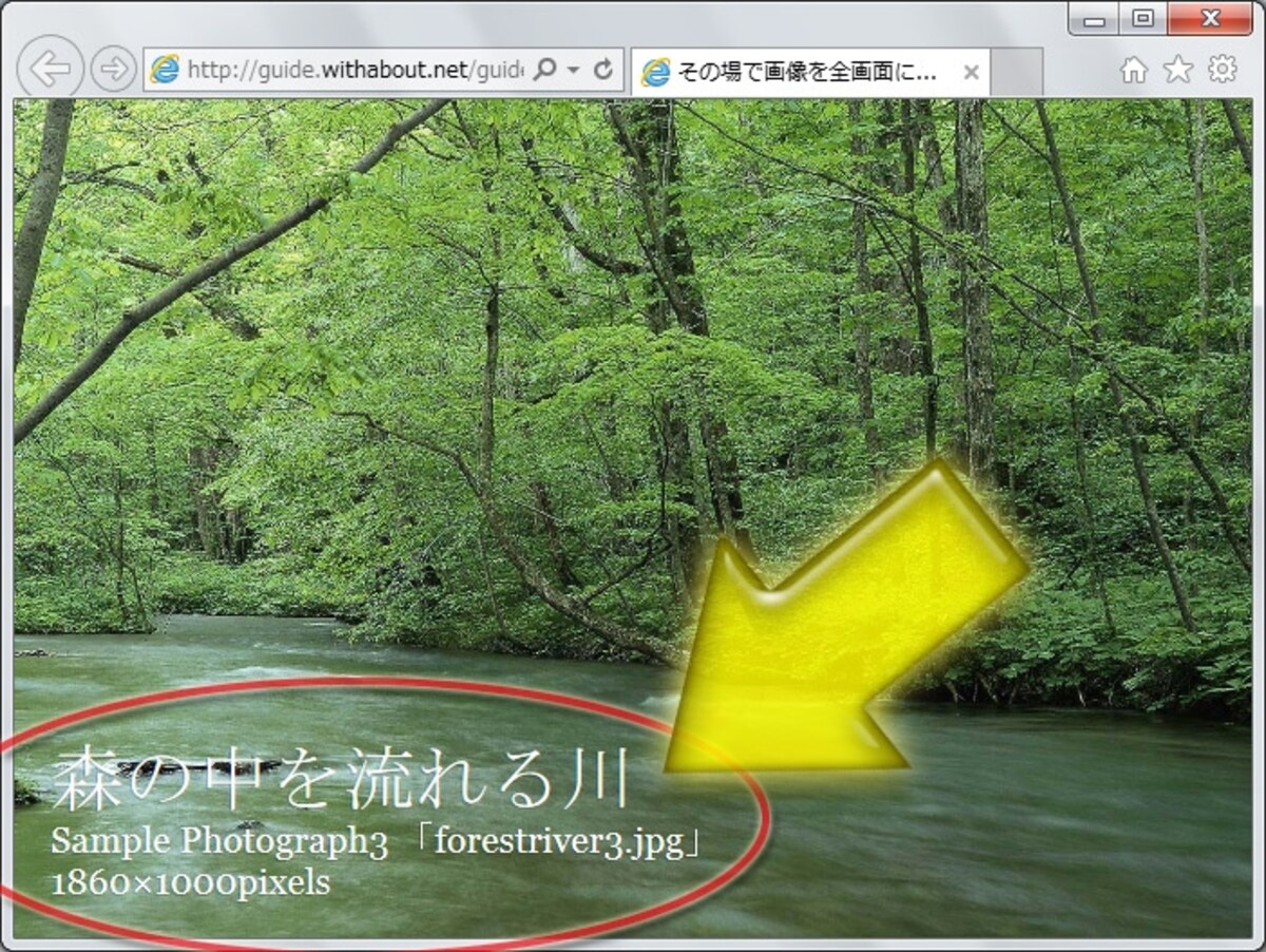 全画面表示の画像には、上からキャプションを重ねて表示できる