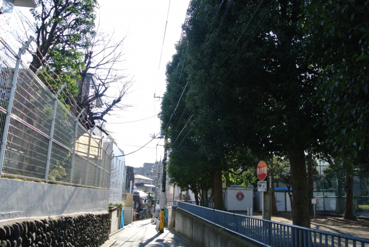 現地近くの沿道