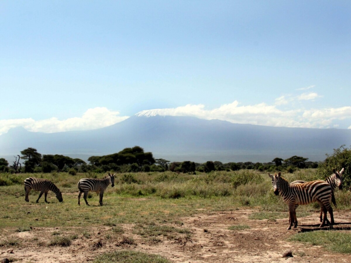 kilimanjaro