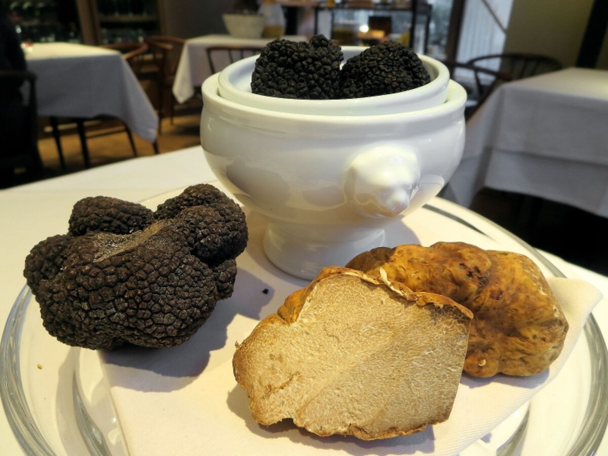 Terres de Truffes,Tokyo（テール ド トリュフ 東京）