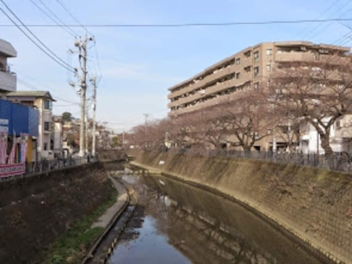 大岡川