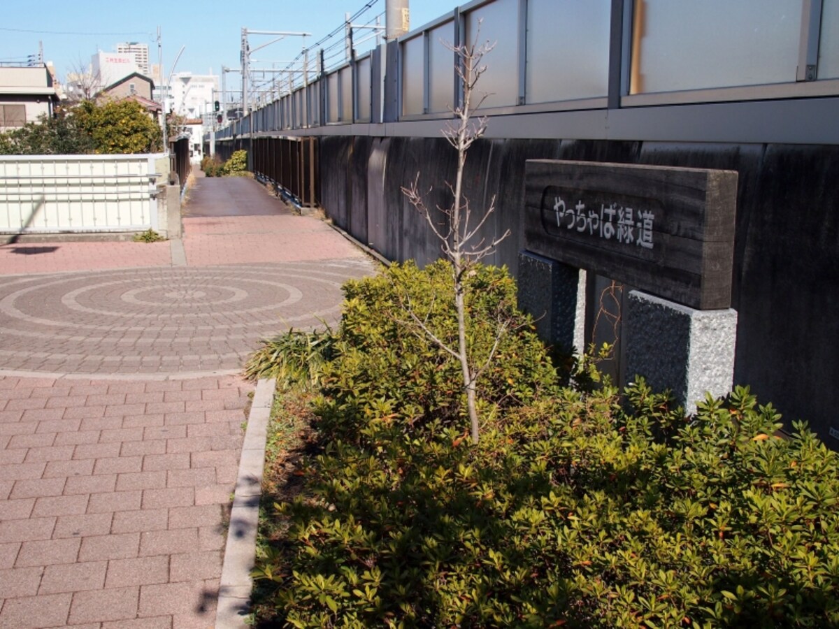 この先で墨堤通りをまたぐ