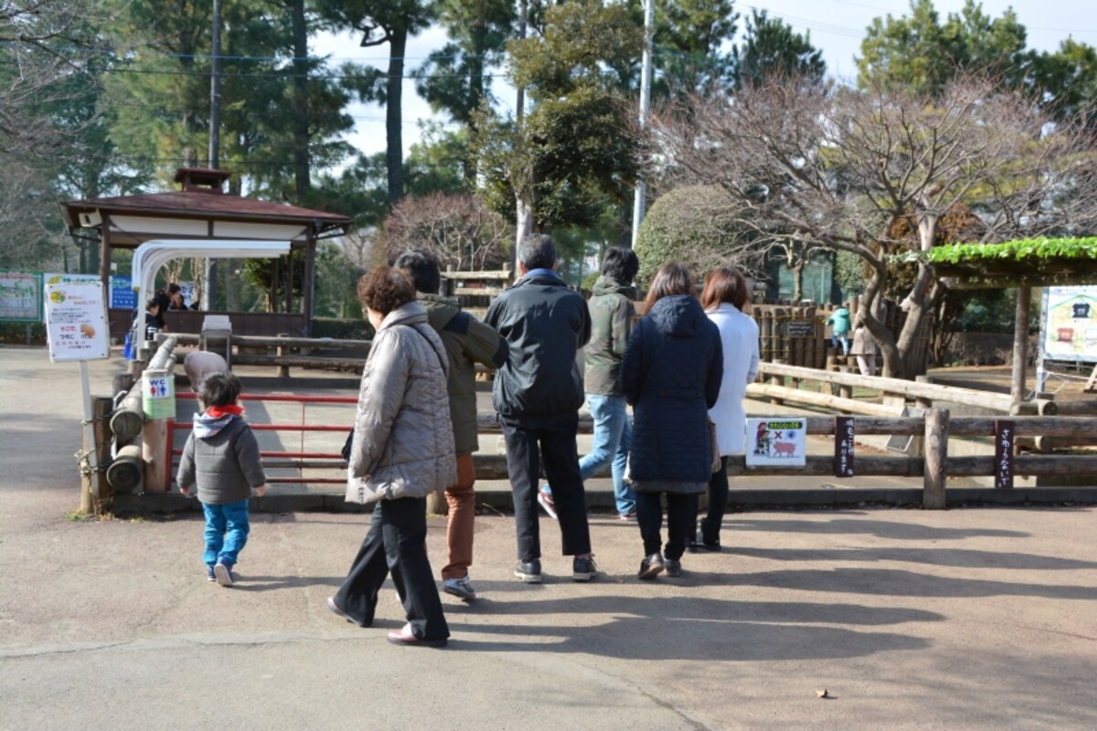 トントンハウス