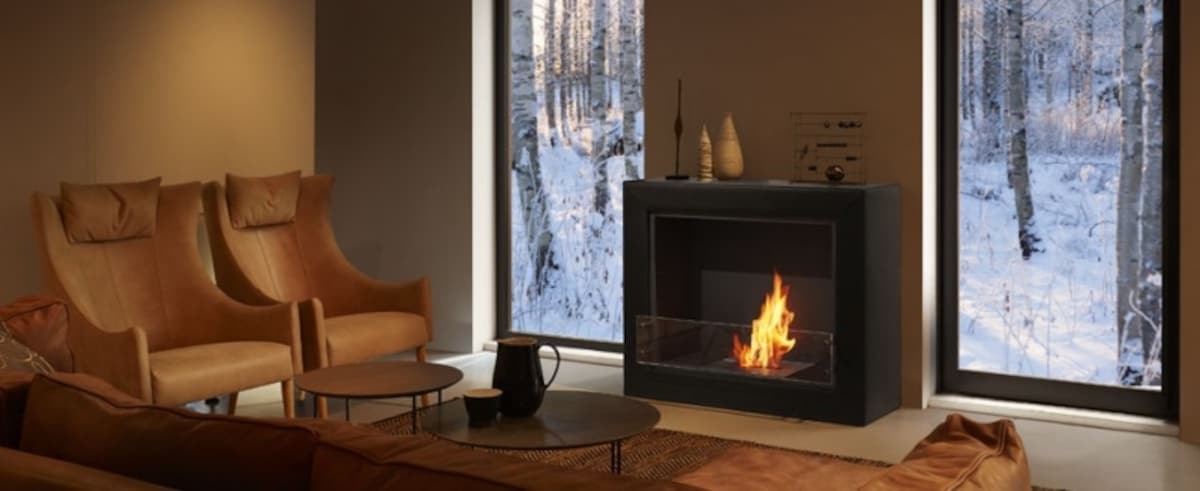 EcoSmart Fire