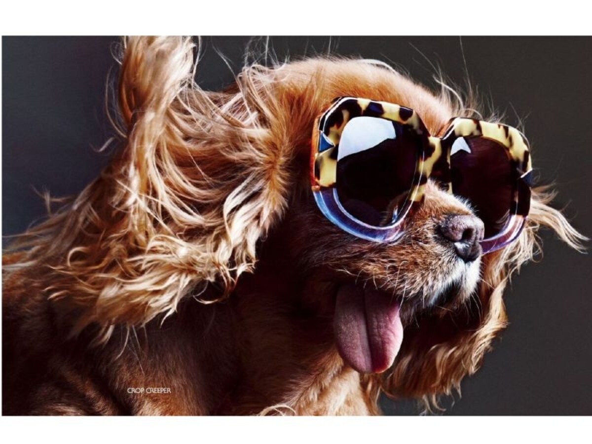 KAREN WALKER 