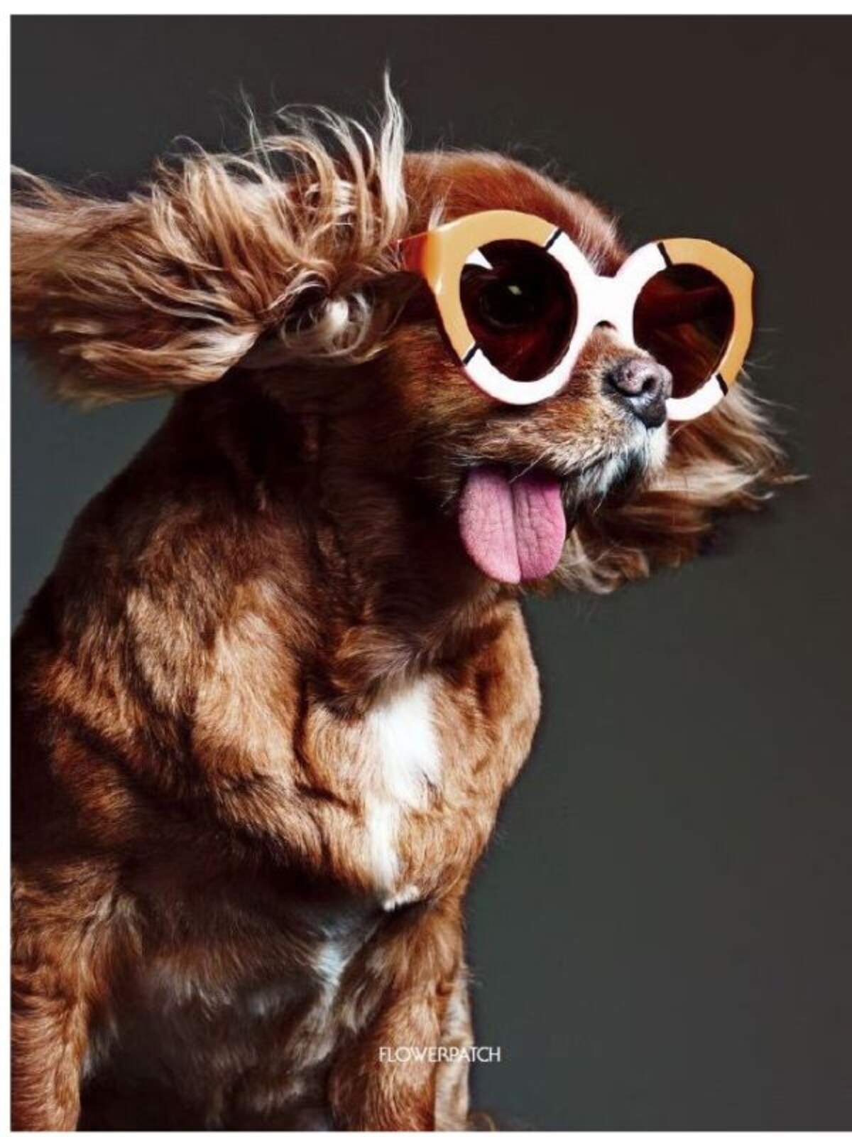 KAREN WALKER 