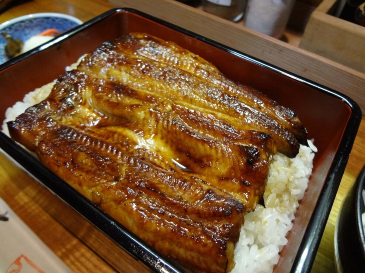つぐみ庵生蒸のうな重