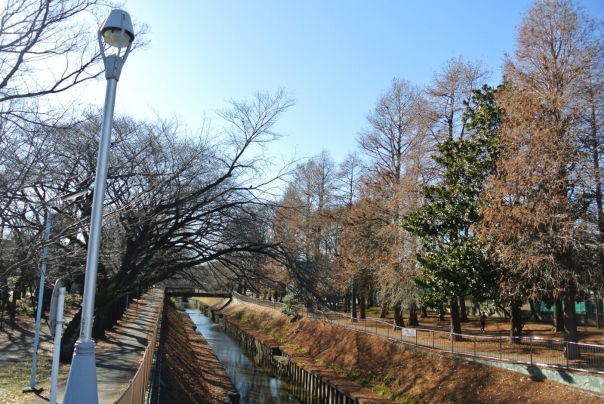 善福寺川緑地