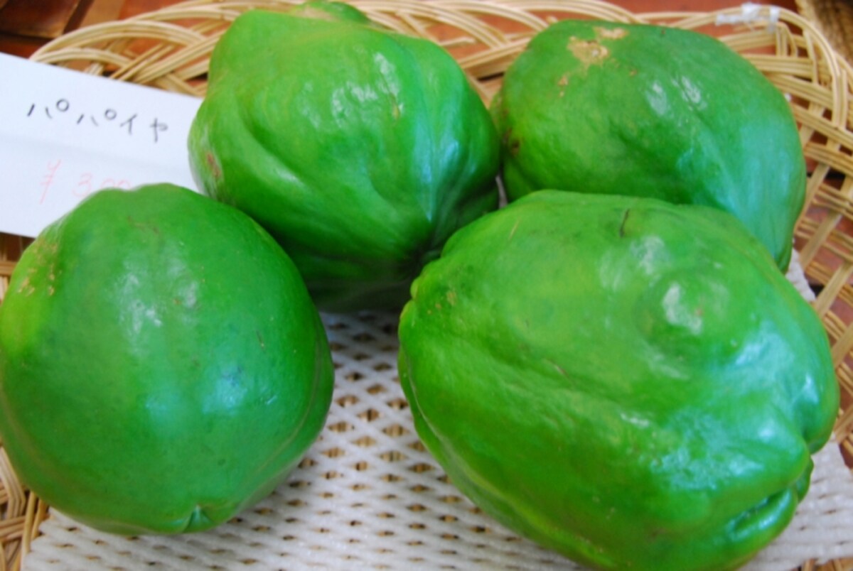 papayya