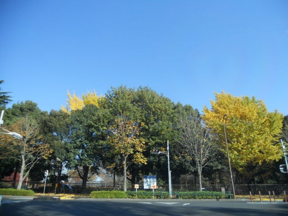 立川