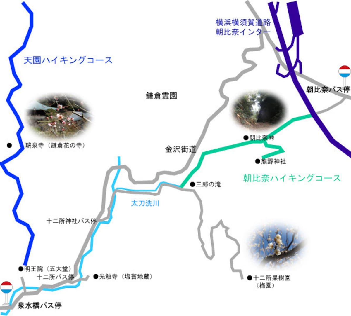 朝比奈ハイキングコースのルート案内　出典：鎌倉紀行