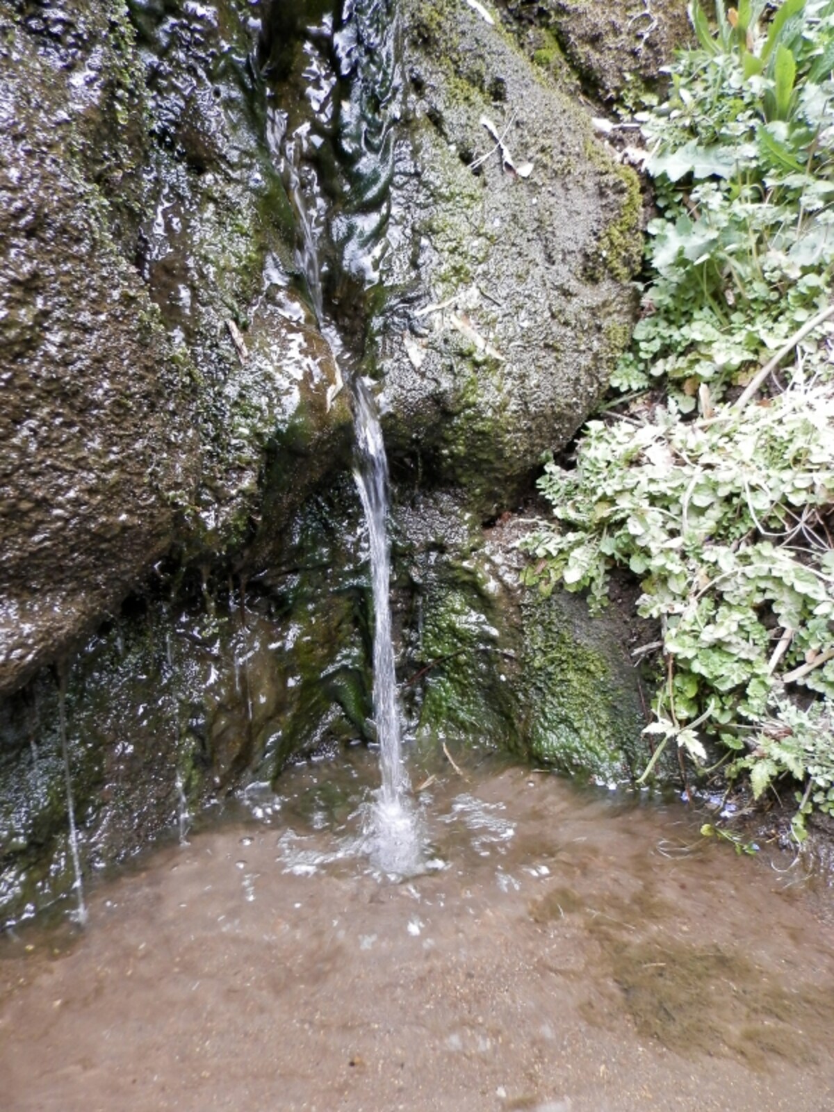 水源