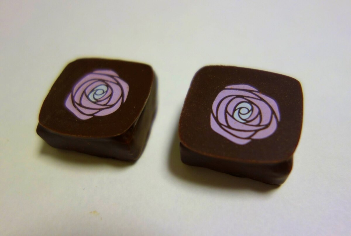Rose Baies de Rose