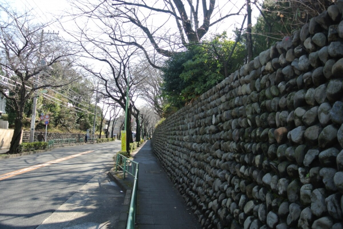 玉石垣が続く世田谷区桜丘の沿道