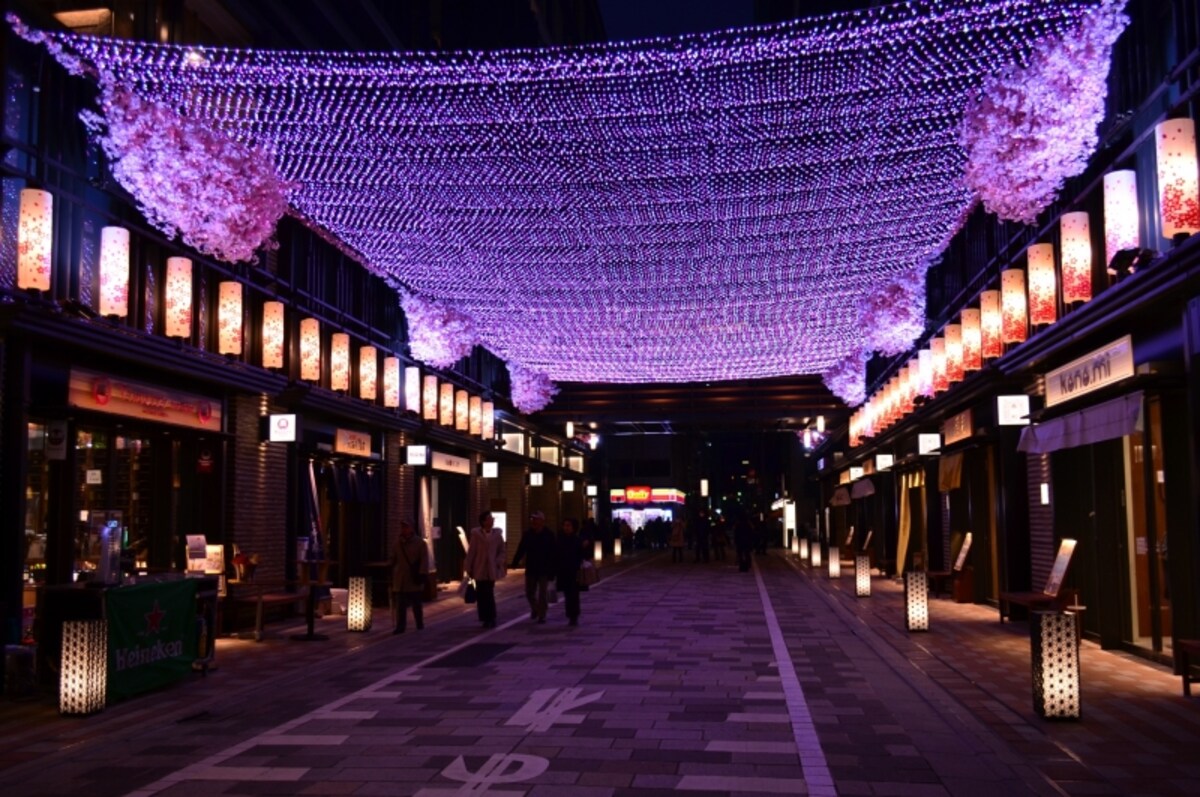 夜桜バル（3月28日・29日）も開催される花見舞台