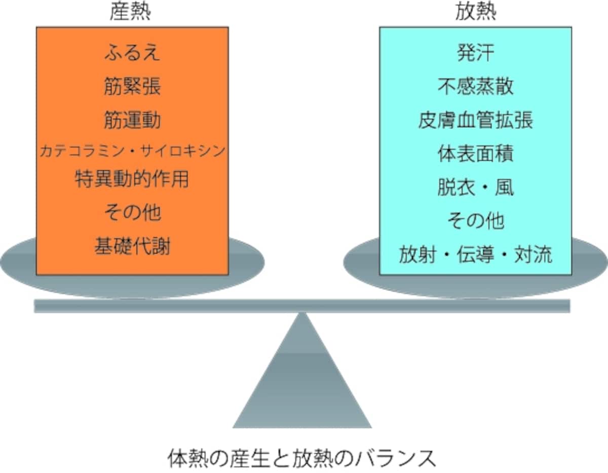 体熱の産生と放熱のバランス