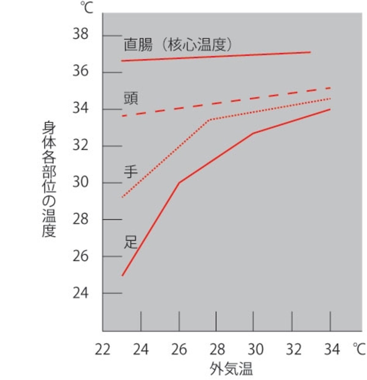 部位別環境温と体温