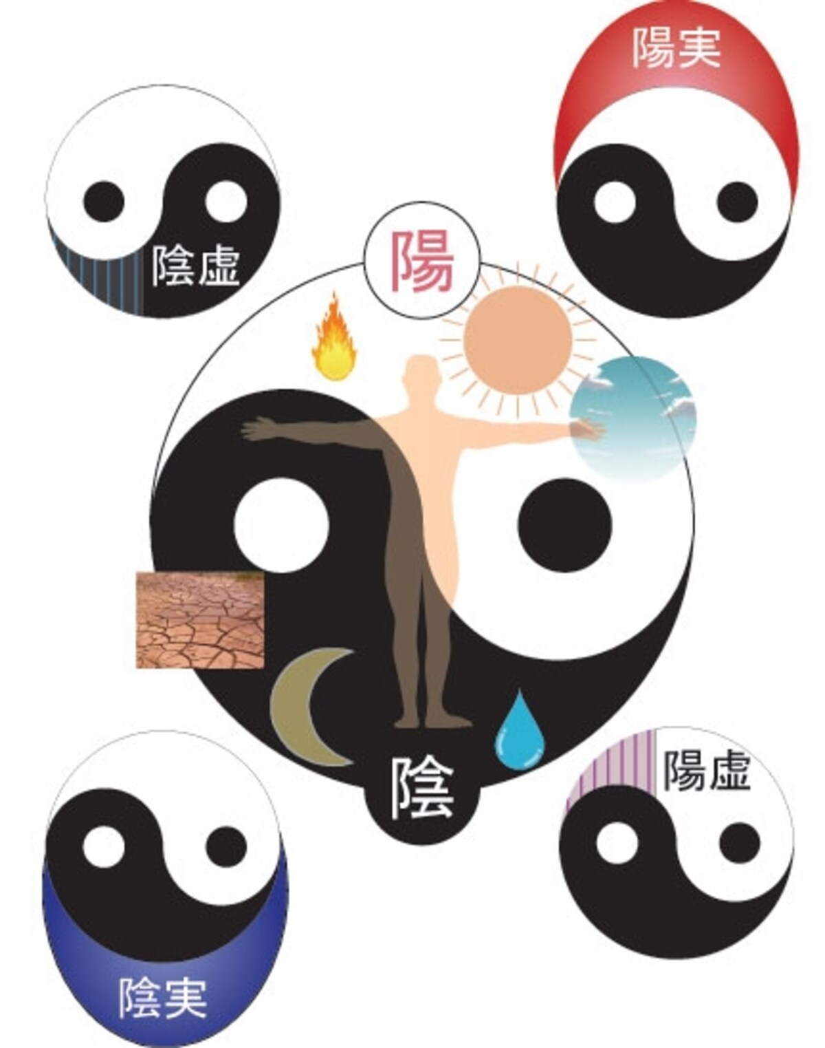 陰と陽の関係